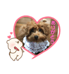 latteのスタンプ3（個別スタンプ：7）