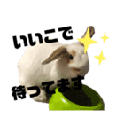 ぽぽんですよ。（個別スタンプ：5）