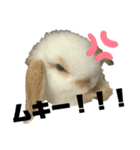 ぽぽんですよ。（個別スタンプ：7）