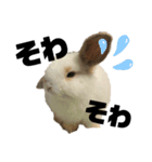 ぽぽんですよ。（個別スタンプ：8）