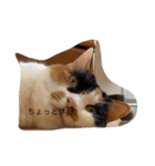 まるのスタンプにゃにゃーん2（個別スタンプ：12）