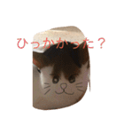 まるのスタンプにゃにゃーん2（個別スタンプ：17）