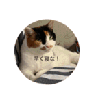 まるのスタンプにゃにゃーん2（個別スタンプ：18）