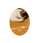 まるのスタンプにゃにゃーん2（個別スタンプ：22）