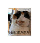 まるのスタンプにゃにゃーん2（個別スタンプ：27）