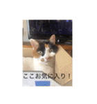まるのスタンプにゃにゃーん2（個別スタンプ：28）