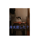 まるのスタンプにゃにゃーん2（個別スタンプ：30）