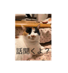 まるのスタンプにゃにゃーん2（個別スタンプ：33）