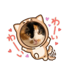 まるのスタンプにゃにゃーん2（個別スタンプ：38）