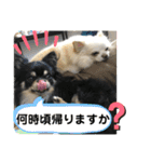 ましゅとくふぃのスタンプ（個別スタンプ：3）