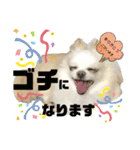 ましゅとくふぃのスタンプ（個別スタンプ：4）