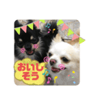 ましゅとくふぃのスタンプ（個別スタンプ：5）