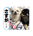 ましゅとくふぃのスタンプ（個別スタンプ：6）