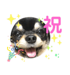 ましゅとくふぃのスタンプ（個別スタンプ：24）