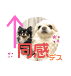 ましゅとくふぃのスタンプ（個別スタンプ：25）