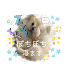 ましゅとくふぃのスタンプ（個別スタンプ：39）