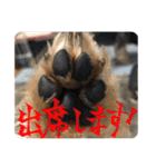 そらいろすたんぷ（個別スタンプ：4）