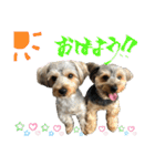 そらいろすたんぷ（個別スタンプ：6）