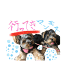 そらいろすたんぷ（個別スタンプ：9）