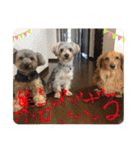 そらいろすたんぷ（個別スタンプ：13）