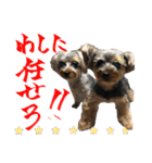 そらいろすたんぷ（個別スタンプ：14）