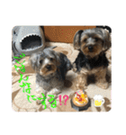 そらいろすたんぷ（個別スタンプ：15）