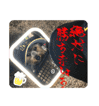 そらいろすたんぷ（個別スタンプ：26）