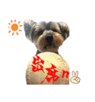 そらいろすたんぷ（個別スタンプ：31）