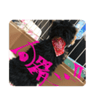そらいろすたんぷ（個別スタンプ：34）
