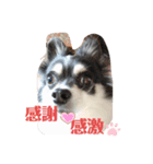 元気印suny2（個別スタンプ：8）