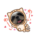 我が家のシーズー犬もじゃ 16（個別スタンプ：4）