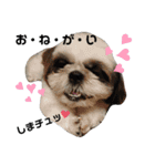我が家のシーズー犬もじゃ 16（個別スタンプ：8）