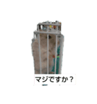 もふっとした、ただの毛玉のもふこ（個別スタンプ：2）