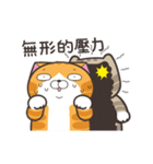 ランラン猫19（個別スタンプ：24）