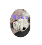 レオくん☆彡.。（個別スタンプ：1）