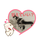 レオくん☆彡.。（個別スタンプ：8）