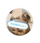 なんかに使えそうなウミくんスタンプ（個別スタンプ：8）