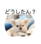 麦ちゃんの日常会話4（個別スタンプ：10）