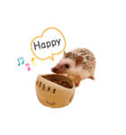 ハリネズミのうにちゃんスタンプ（個別スタンプ：10）