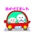 トイプーとシーズーの敬語を話す友達ワンコ（個別スタンプ：20）