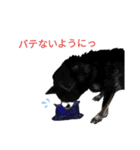 牛丼おじさんスタンプ2(さのっち)（個別スタンプ：5）