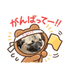 ぽんたスタンプ2☆（個別スタンプ：6）