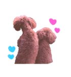 ♡あひるあ♡（個別スタンプ：16）
