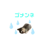 くりたまくろ（個別スタンプ：4）