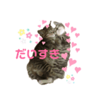 くりたまくろ（個別スタンプ：5）