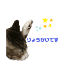 くりたまくろ（個別スタンプ：7）