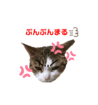 くりたまくろ（個別スタンプ：8）