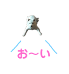 北海道犬くまの日常2（個別スタンプ：9）