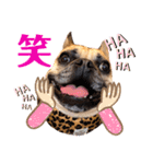 リルリル（個別スタンプ：7）