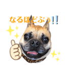 リルリル（個別スタンプ：14）